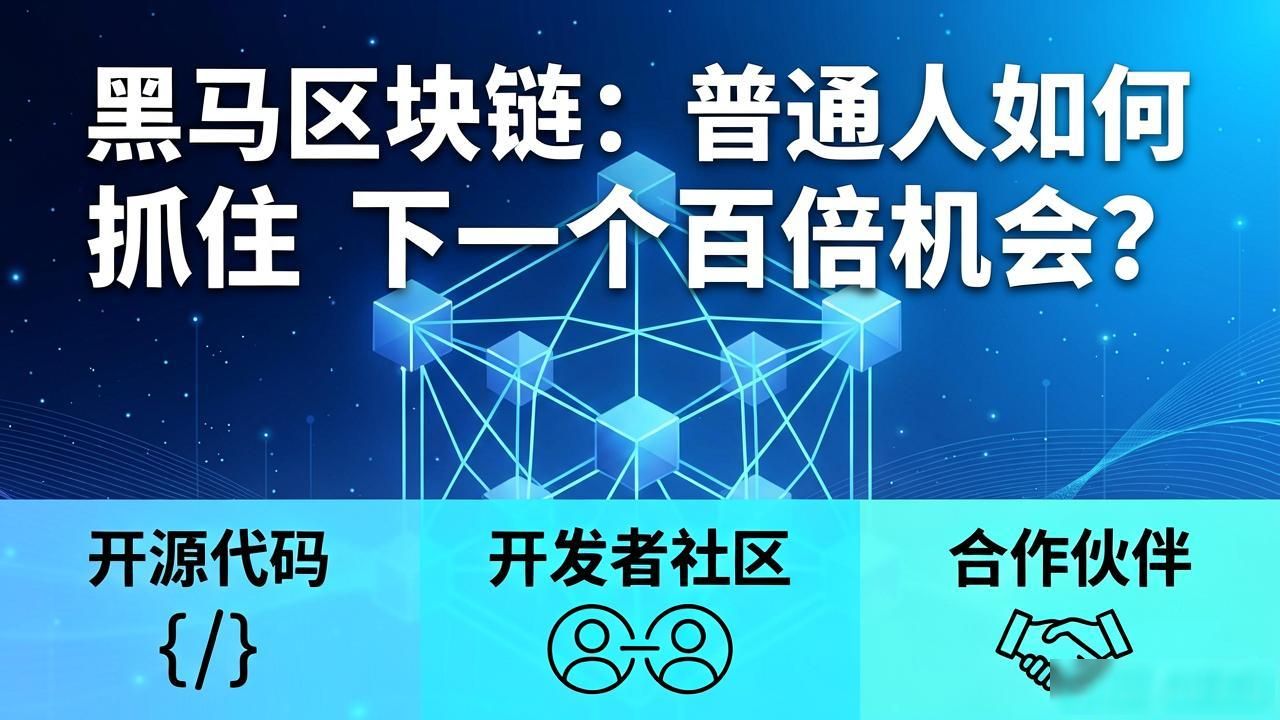 黑马区块链:普通人如何抓住下一个百倍机会?